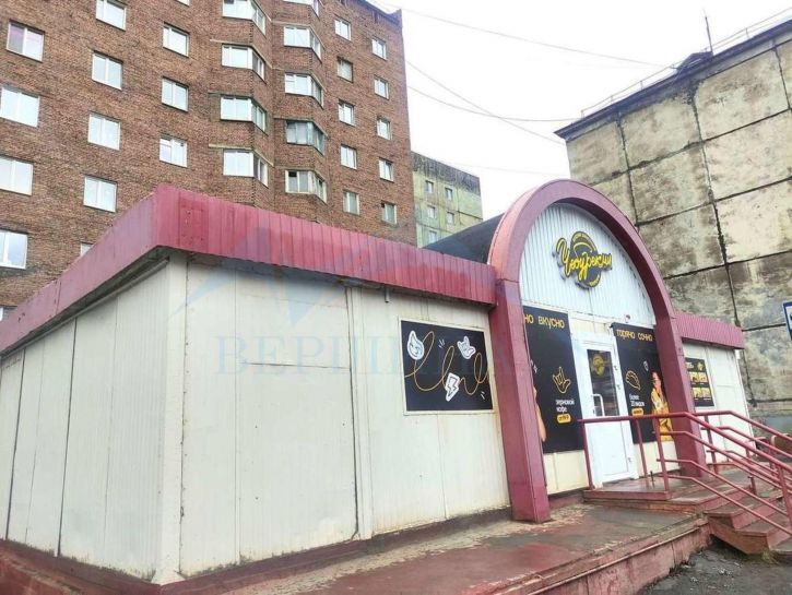 1-комн квартира Павлова улица,20